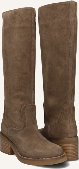 Bruine NUBIKK Hoge laarzen CASSIE BOOT SUE Bruine NUBIKK Hoge laarzen CASSIE BOOT SUE - large