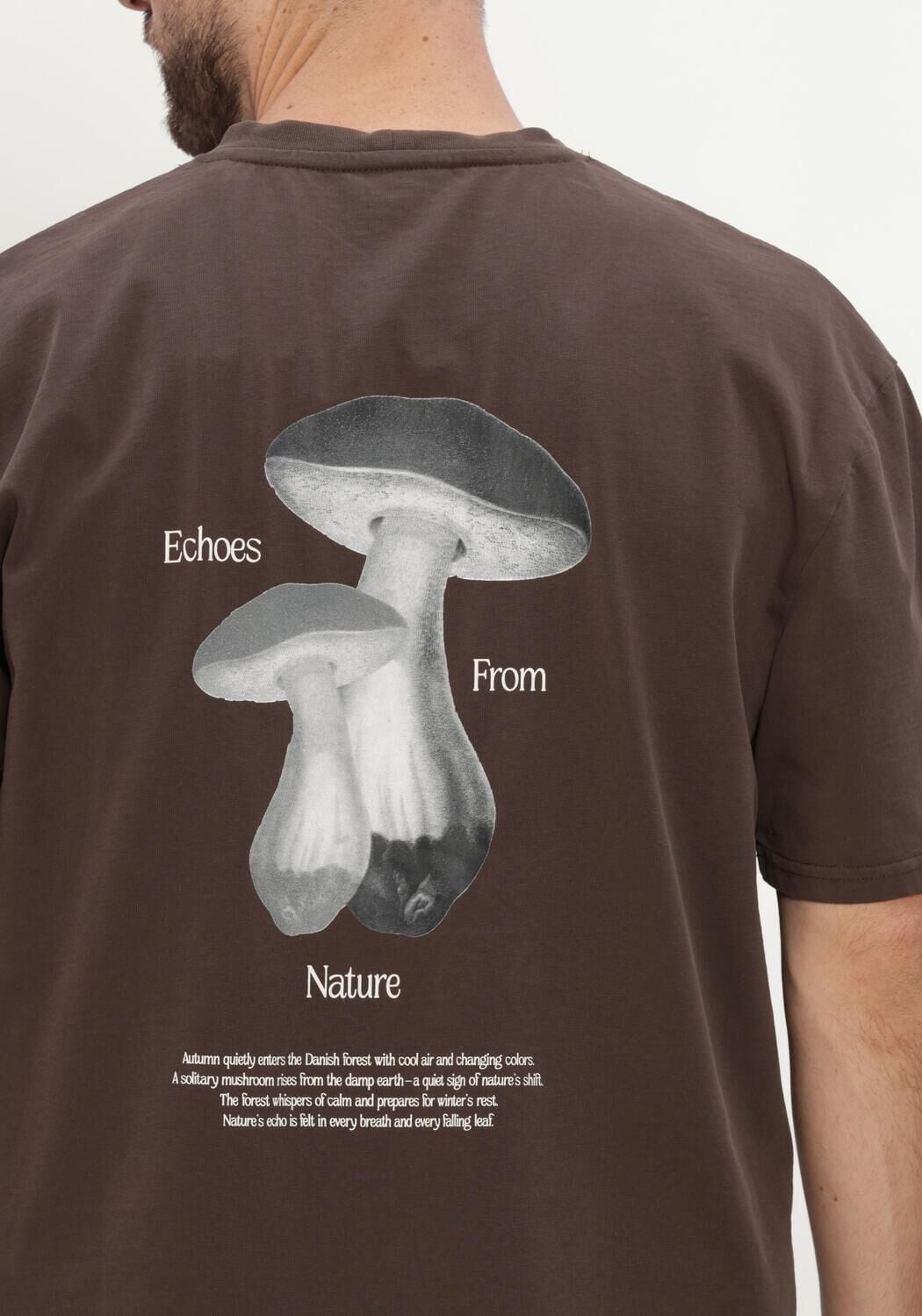 ANERKJENDT Heren Polo's & T-shirts Akvillads Echos Ss Tee Bruin