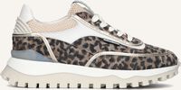 Beige FLORIS VAN BOMMEL Lage sneakers SFW-10131 GROMMI Beige FLORIS VAN BOMMEL Lage sneakers SFW-10131 GROMMI - medium