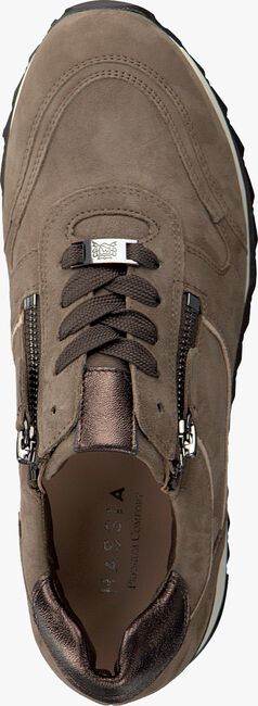 Taupe HASSIA Lage sneakers MADRID - large