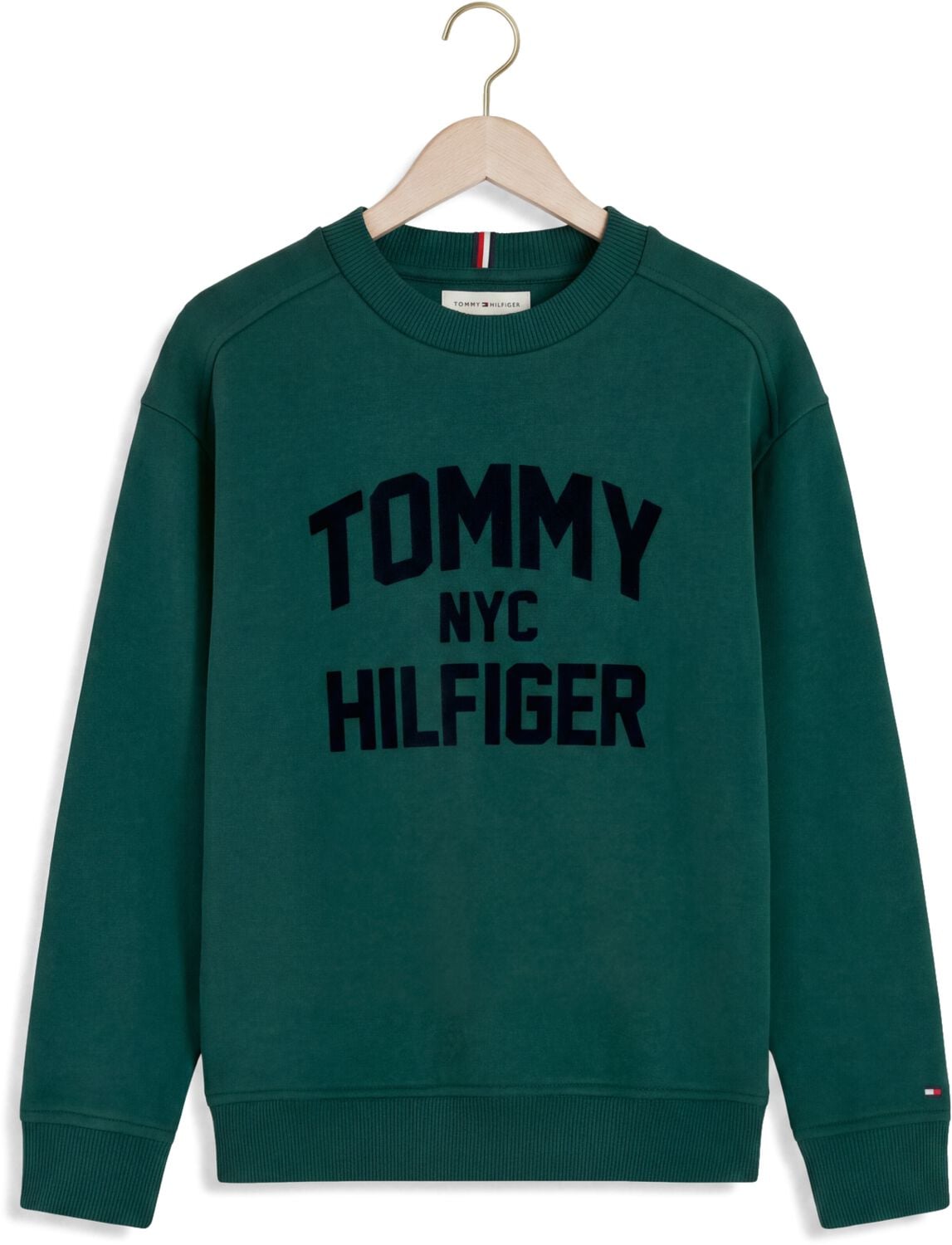 TOMMY HILFIGER Jongens Truien & Vesten Brand Love Crew Groen