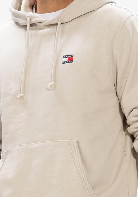 Lichtblauwe TOMMY JEANS Sweater TJM REG BADGE HOODIE EXT - large