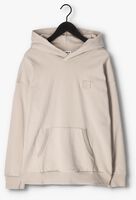 Beige COLOURFUL REBEL Sweater UNI PATCH DROPPED SHOULDER HOODIE