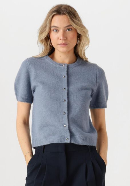 Lichtblauwe NEO NOIR Vest MITTA KNIT CARDIGAN - large