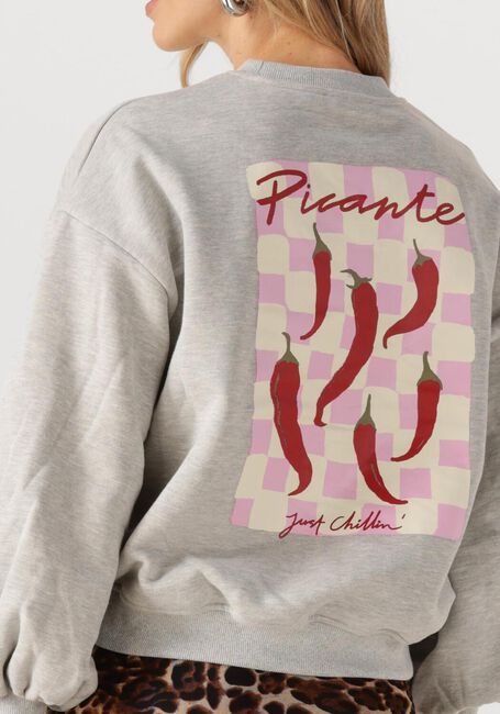 Grijze YDENCE Sweater SWEATER JUST CHILLIN - large