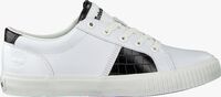 Witte TIMBERLAND Lage sneakers SKYLA BAY OXFORD - medium