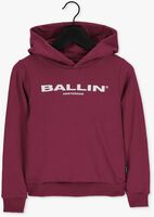 Roze BALLIN Sweater 22037321 - medium