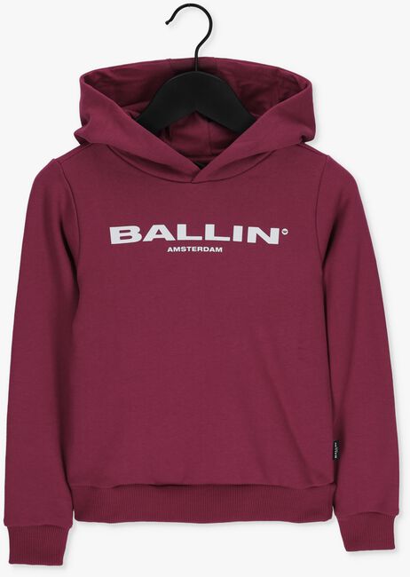 Roze BALLIN Sweater 22037321 - large