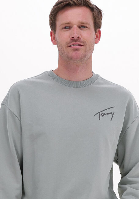 Groene TOMMY JEANS Sweater TJM TOMMY SIGNATURE CREW - large