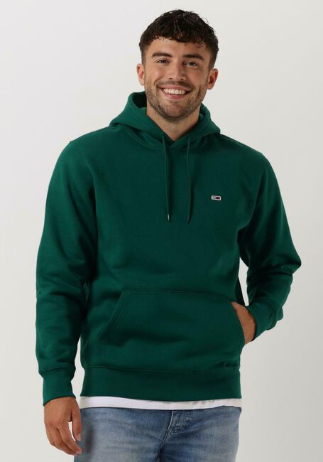 Donkergroene TOMMY JEANS Sweater TJM REGULAR FLEECE HOODIE - large