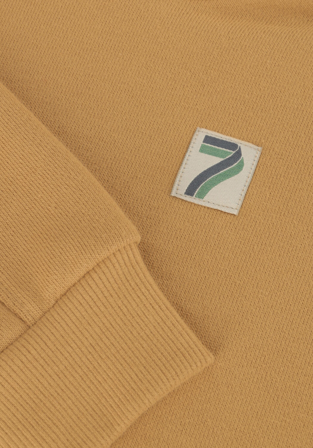 Bruine DAILY7 Truien/vesten HOODIE BACKPRINT D7 - large