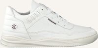Witte VINGINO Lage sneakers CELSO - medium