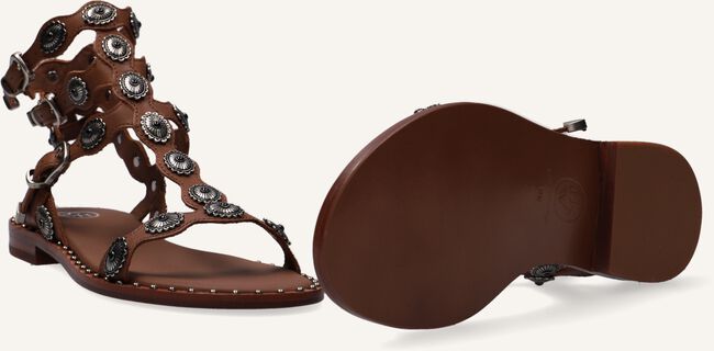 Cognac ASH Platte sandalen PHOENIX Cognac ASH Platte sandalen PHOENIX - large