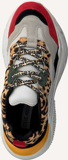 Multi STEVE MADDEN Lage sneakers ANTOINIA Multi STEVE MADDEN Lage sneakers ANTOINIA - large