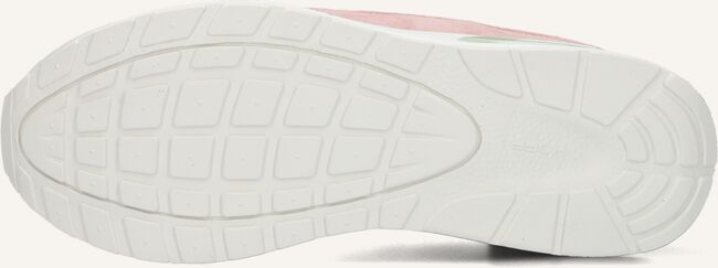 Multi THE HOFF BRAND Lage sneakers GRIFFITH Multi THE HOFF BRAND Lage sneakers GRIFFITH - large