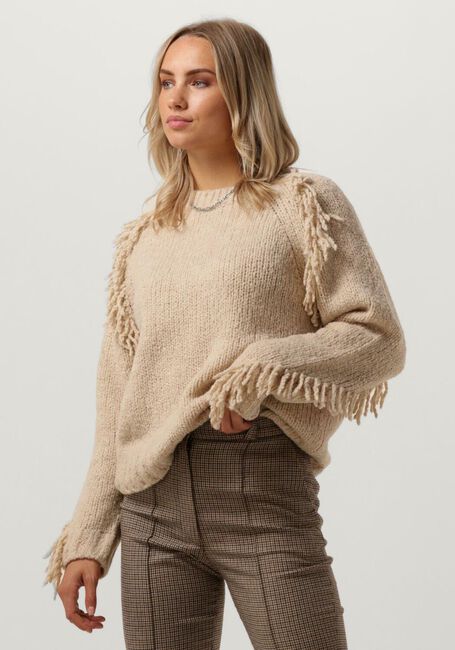 Beige VANESSA BRUNO Trui BRUYERE - large