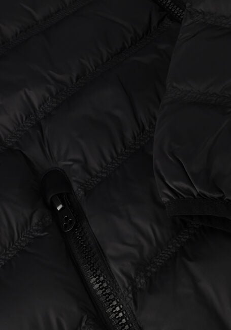 Zwarte PEUTEREY Gewatteerde jas BOGGS CJ Zwarte PEUTEREY Gewatteerde jas BOGGS CJ - large