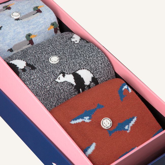 Multi ALFREDO GONZALES Sokken ANIMALS BOX Multi ALFREDO GONZALES Sokken ANIMALS BOX - large