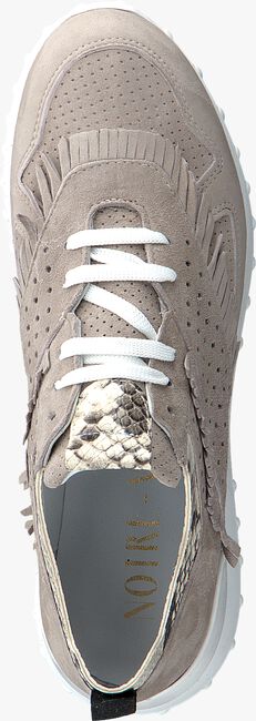 Taupe NOTRE-V Lage sneakers AG283 - large
