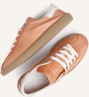 Oranje BRONX Lage sneakers BOB-BIE 66594 Oranje BRONX Lage sneakers BOB-BIE 66594 - medium