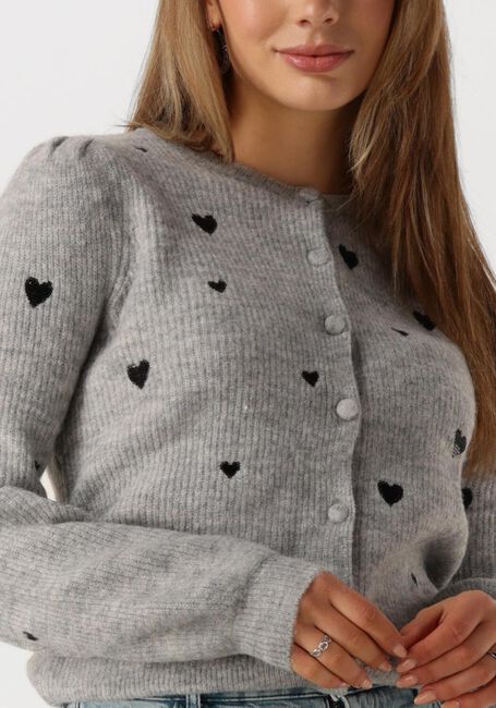 Grijze FABIENNE CHAPOT Vest LIDIA CARDIGAN - large