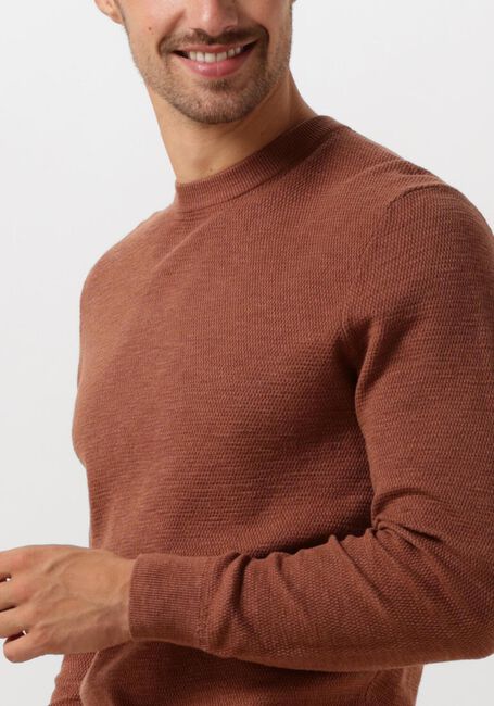 Bruine PROFUOMO Trui PULLOVER CREW NECK - large