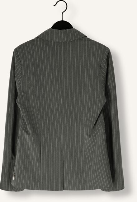 Grijze AI&KO Blazer AMANDA PINSTRIPE  VIS 350 G Grijze AI&KO Blazer AMANDA PINSTRIPE  VIS 350 G - large