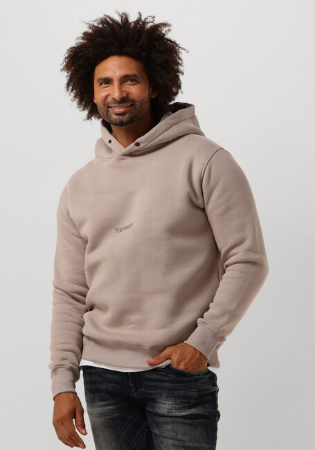 Taupe PUREWHITE Sweater HOODIE WITH FRONT PRINT AND BACK ARTWORK - large