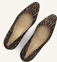 Taupe UNISA Hakken WABA Taupe UNISA Hakken WABA - medium