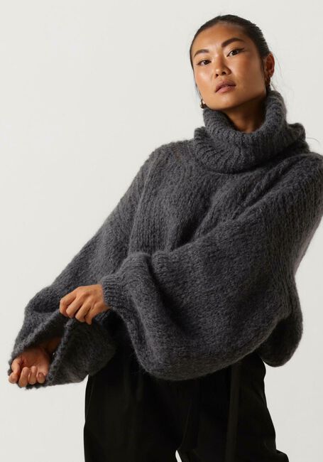 Grijze AMERICAN DREAMS Coltrui PEPPER ROLL NECK CROPPED - large