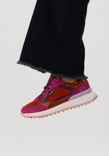 Roze FLORIS VAN BOMMEL Lage sneakers NOPPI 35.07 - large