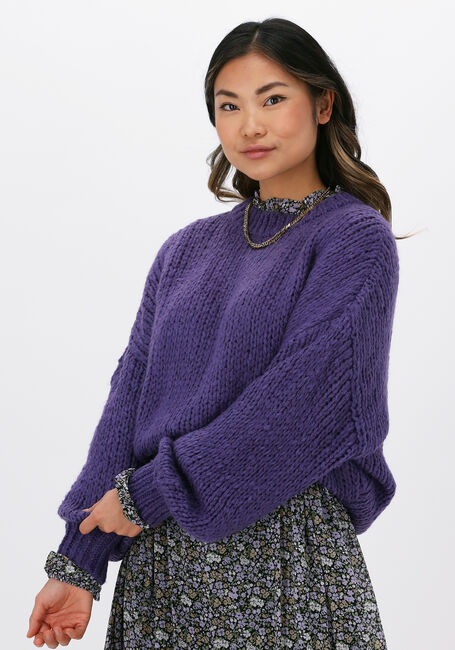 Paarse COLOURFUL REBEL Trui OLIVIA CREW NECK SWEATER - large