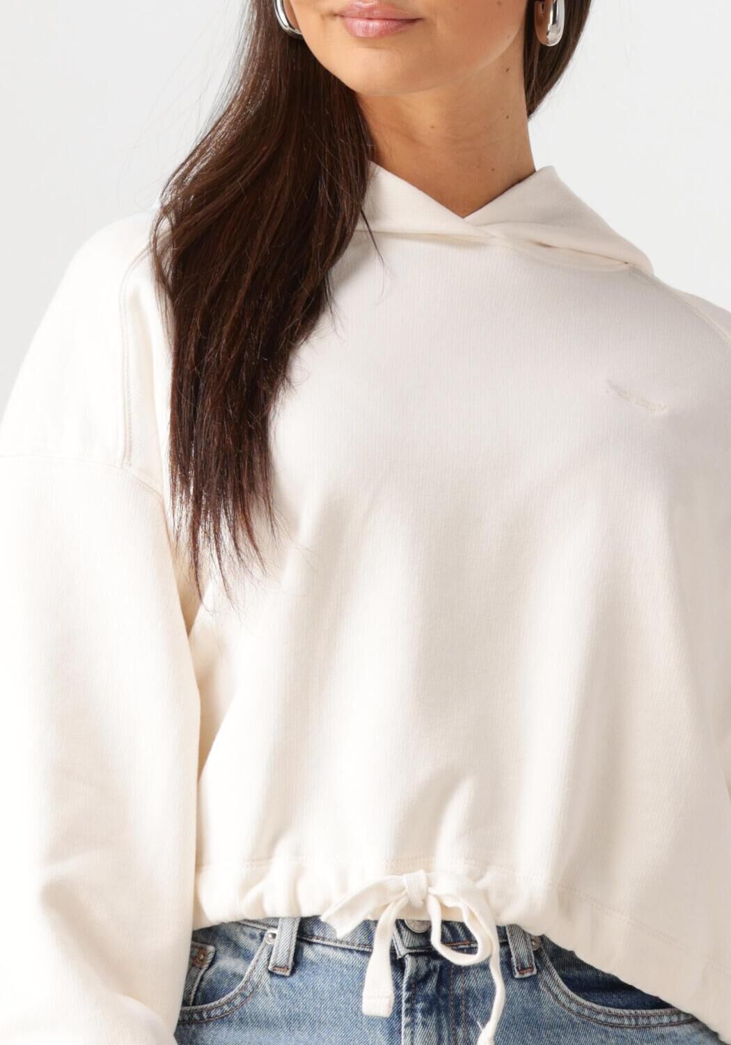 TOMMY JEANS Dames Truien & Vesten Tjw Crp Gmd Script Hoodie Ecru
