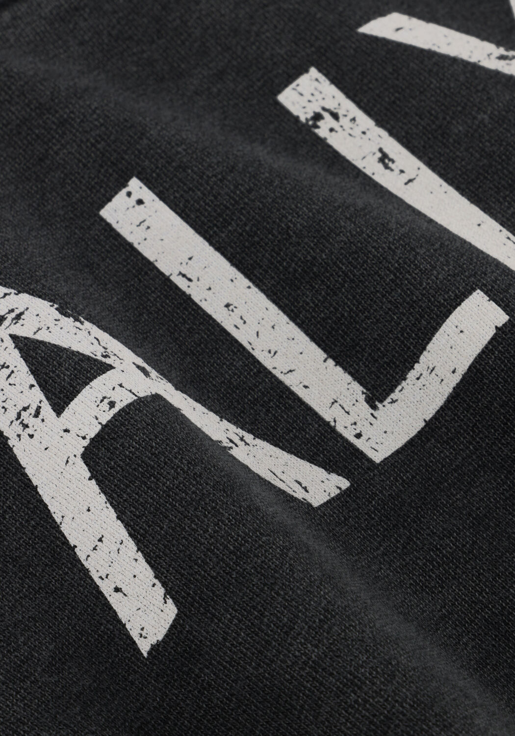 Donkergrijze ALIX MINI Trui ALIX ON TOUR SWEATER - large