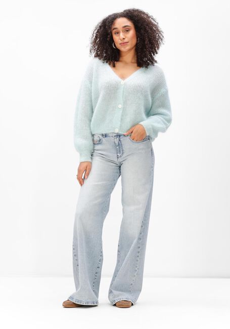 Blauwe TWNS Vest ERIE - large