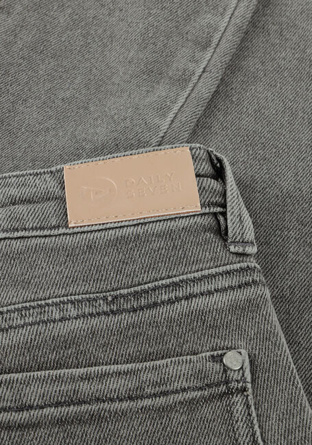 Grijze DAILY7 Cargo jeans 2600 STRAIGHT CARGO FIT - large