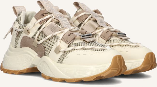 Bruine STEVE MADDEN Lage sneakers TAZMANIA Bruine STEVE MADDEN Lage sneakers TAZMANIA - large