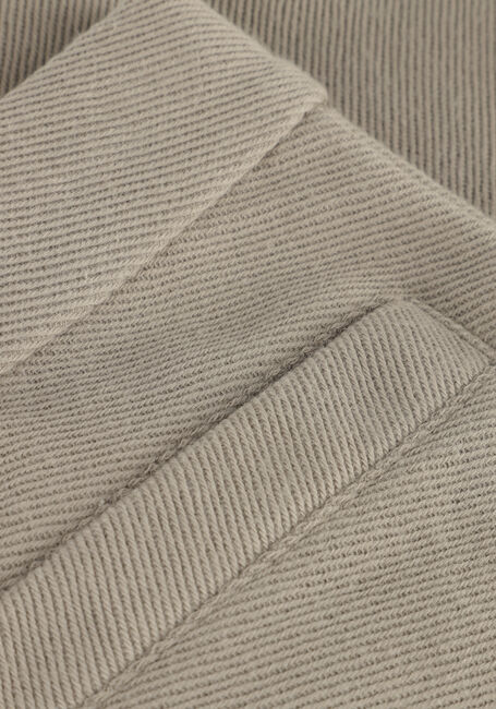 Taupe LIL' ATELIER Korte broek NMMKALEO SHORTS LIL - large