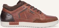 Bruine AUSTRALIAN Lage sneakers ANTRIM - medium