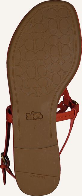 Oranje COACH Sandalen JERI LEATHER SANDAL Oranje COACH Sandalen JERI LEATHER SANDAL - large