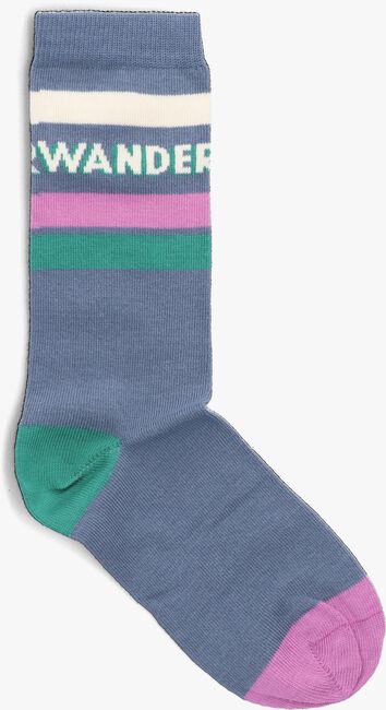 Donkerblauwe WANDER & WONDER Sokken STRIPE SOCKS - large