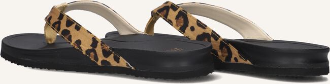 Bruine BLASZ Teenslippers BELLA 2402 Bruine BLASZ Teenslippers BELLA 2402 - large