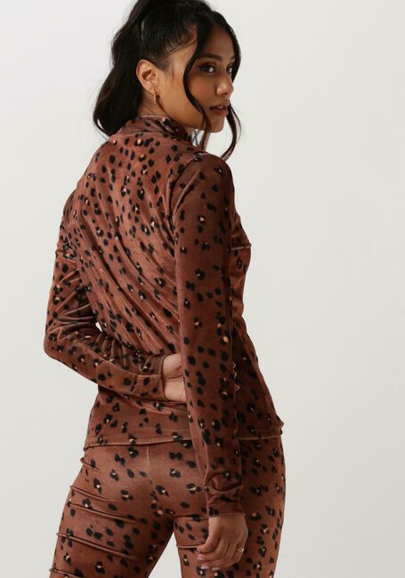 Bruine CATWALK JUNKIE Trui LS MEGAN - large