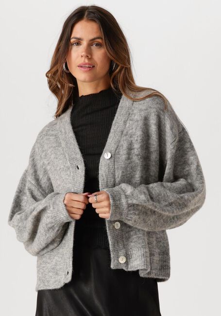 Grijze MSCH COPENHAGEN Vest MSCHPETRINELLE HOPE CARDIGAN - large