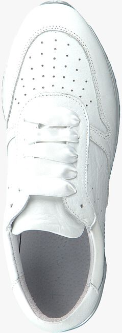 Witte TANGO Sneakers MARIKE 2  - large