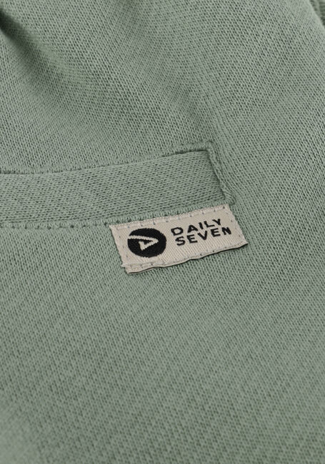 Groene DAILY7 Korte broek SHORTS STRUCTURE - large