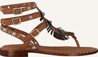 Cognac ASH Platte sandalen PANDORA Cognac ASH Platte sandalen PANDORA - medium