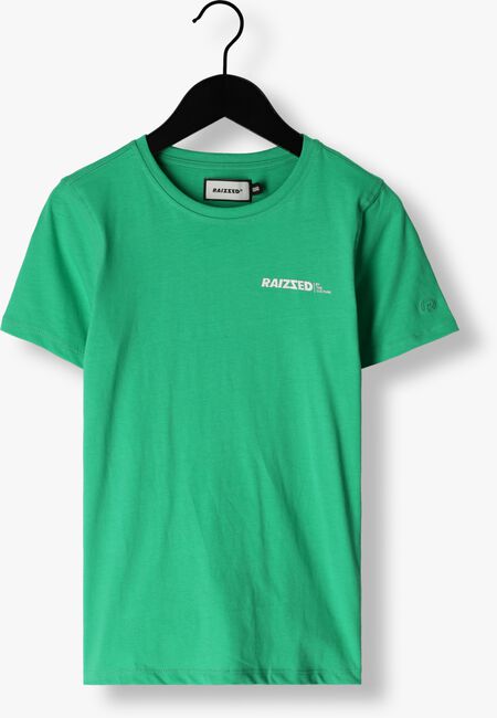 Groene RAIZZED T-shirt SPARKS - large