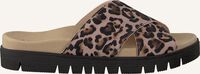 Beige GABOR  741 - medium