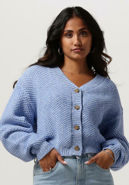 Blauwe ANOTHER LABEL Vest ZHOUR KNITTED CARDIGAN L/S - large